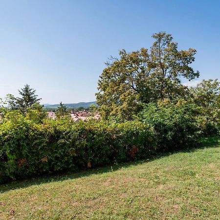 Le Nichoir De La Colline - Parking & Wifi Daire Obernai Dış mekan fotoğraf