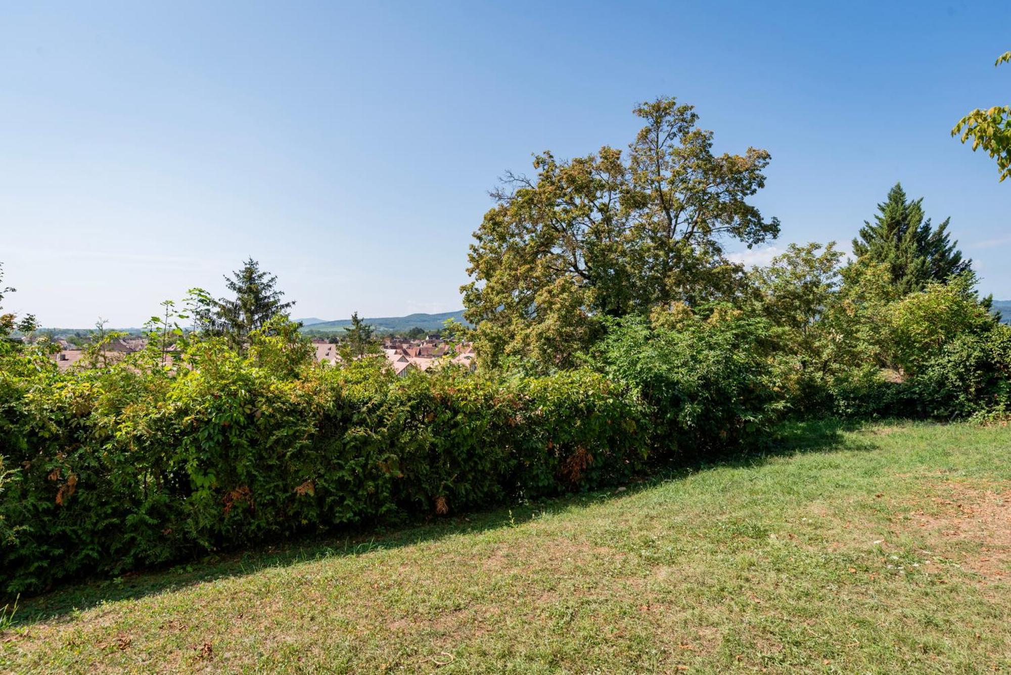 Le Nichoir De La Colline - Parking & Wifi Daire Obernai Dış mekan fotoğraf